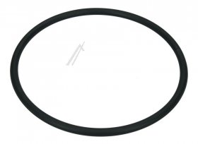 Sealing Materials - 1038969 Seal Ring 169x8 [Amica]