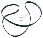 Poly v belt - 1036157 Poly V-belt 8eph1258 [Amica]